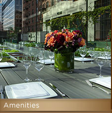 Amenities